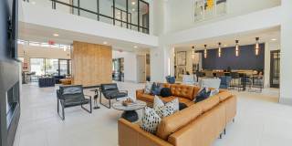 Alleia Watters Creek Gallery 10