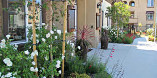 Paloma Gallery 19
