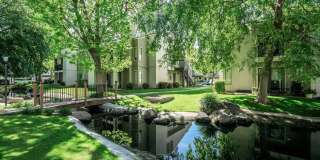 Edgewater Gallery 63