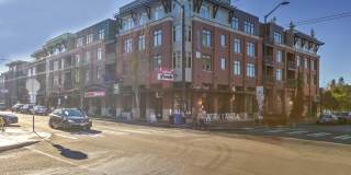 Queen Anne Collection Gallery 21