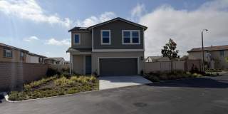 36594 Camino Springs Avenue Gallery 2