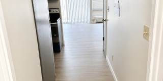 Bright 1 Bed / 1 Bath Apartment for Rent in North Seattle Private Balcony, Near Green Lake & Northgate! Gallery 11