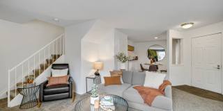 TGM Meadow View Gallery 20