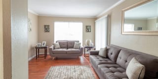 Falls of Braeswood Gallery 8