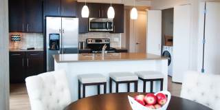 Ovation 309 Gallery 5