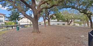 Water Oak Gallery 85