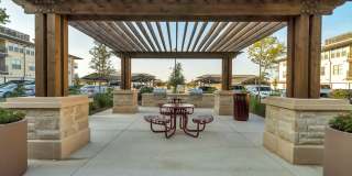 Chisholm at Tavolo Park Gallery 38