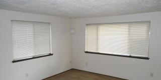 Charming Pet Friendly 2BR Condo with a Garage! Gallery 5
