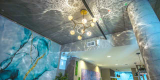Beryl Gallery 12