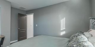 12634 CACAO TREE Trail Gallery 21