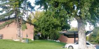 Orchard Gardens  (OG) Gallery 21