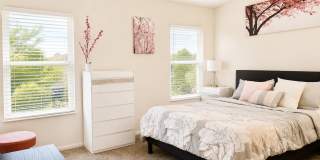 1008 Honey Blossom Drive Gallery 9