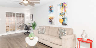 The Ashley Gallery 20