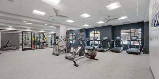 Windsor Riverfront Park Gallery 36