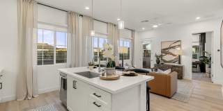 The Stately Queen Creek Gallery 4