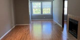 1205 Wyndham Court unit: 202 Gallery 1