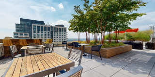 Eleven55 Ripley Gallery 33