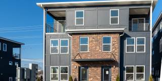 102 Duke Street - 1#8 Gallery 1