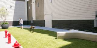 Strata East Gallery 10