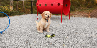 Avalon Alderwood Gallery 28