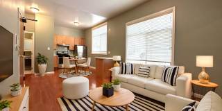 1037 Clay Street Gallery 1