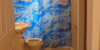 1972 Don Juan Lane Gallery 6