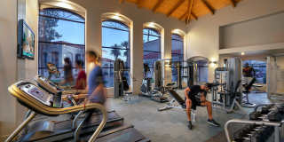 The Ventura Gallery 1