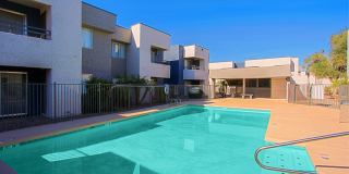 Paloma Village Gallery 16