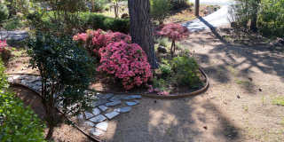 10959 Alta Sierra Drive 10959 Alta Sierra Drive Gallery 40