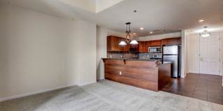 Boca Raton Gallery 79