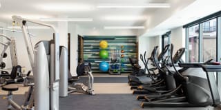 The Mason Gallery 79