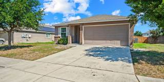 320 LONESTAR GAIT Gallery 1