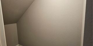10790 Wild Parsley Avenue Gallery 47