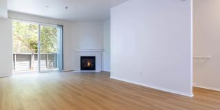 Artisan Square Gallery 20