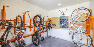 The Lotus Gallery 10