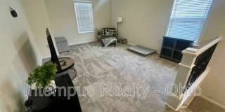 260 Winter Shadow Loop Gallery 31