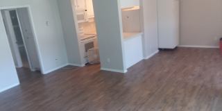 820 Camino Real Gallery 7