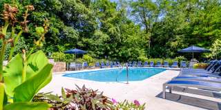 Lake Forest Apartments Gallery 16