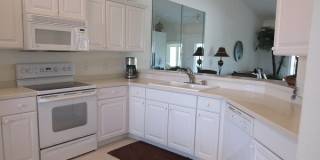 10537 Washingtonia Palm Way Gallery 10