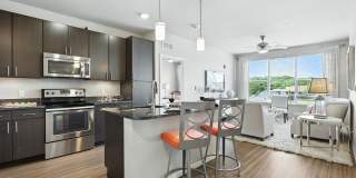 Alinea at Town and Country Gallery 2