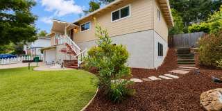 Mid-Century Modern Sequoyah Highlands Home Gallery 4