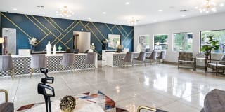 Allanza at the Lakes Gallery 3