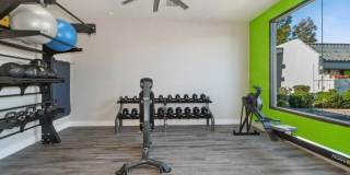 Arcadia on 49th Gallery 4