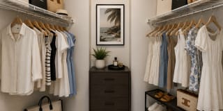 The Hills Of Corona Gallery 10