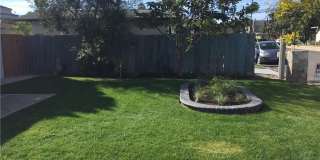 2408 Carlton Gallery 10