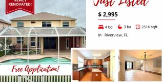 11335 Village Brook Drive Gallery 1
