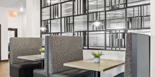 The Steadman Apartments Gallery 75