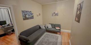 94 Egmont St. Gallery 3