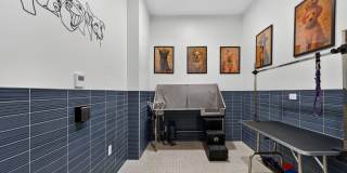 Lore Salem Gallery 40