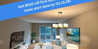 3911 Picasso Court Gallery 1